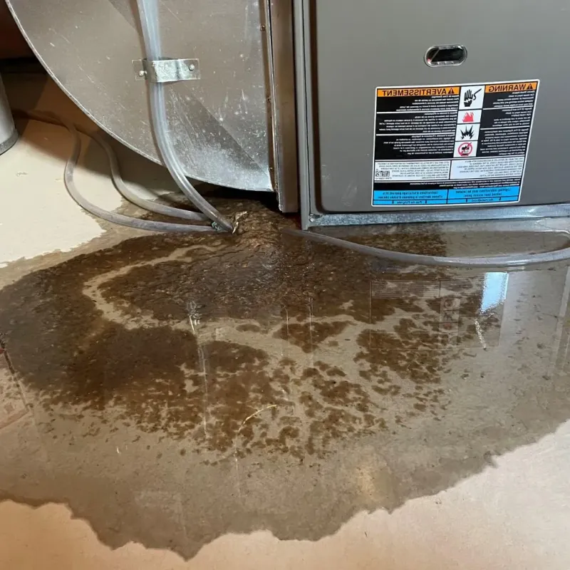Pipe Burst and Leak Restoration in Hasbrouck Heights, NJ